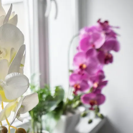 Old Town Heart Xix Bagno - ワルシャワ