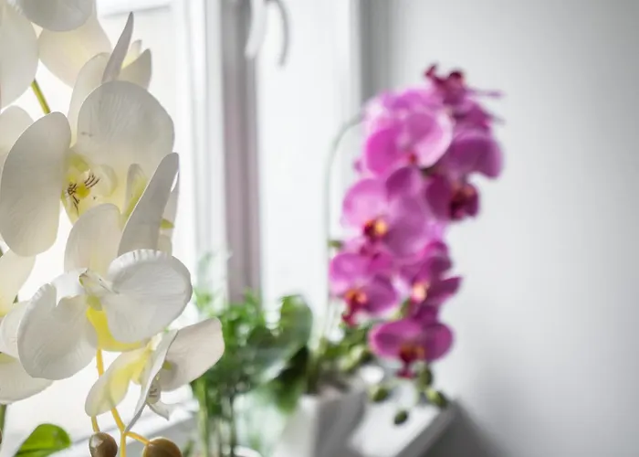 Old Town Heart Xix Bagno - Warsaw